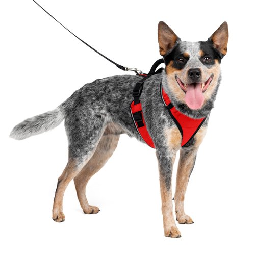 PetSafe EasySport Dog Harness – Adjustable Padded Dog Harness with Control Handle and Reflective Piping – Medium, Red