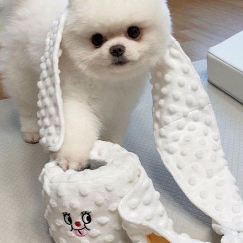 Restokki Dog Snuffle Nosework Toy - Toilet Paper Dog Toy Plushie Interactive Puzzle Toy - Treat Hide and Seek for Fun