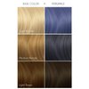 ARCTIC FOX Vegan and Cruelty-Free Semi-Permanent Hair Color Dye (4 Fl Oz, PERIWINKLE)