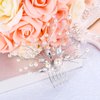 BriLove Wedding Bridal Hair Comb Hair Accessories with Crystal Bead Simulated Pearl Handmade Filigree for Women Clear Silver-Tone