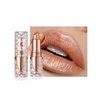 Glitter Metallic Shimmer Brown Lipstick Long Lasting,Diamond High Impact Nude Red Metallic Matte Liquid Lipstick Transferproof Non-Stick Lip Gloss,Full Coverage Lip Color Lip Stick Makeup for Women-05