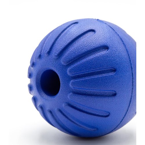 Leerburg Foam Ball Dog Toy – Durable, Safe Fetch Toy for Dogs, Floats in Water (Blue)