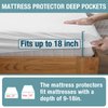 Bedecor Queen Mattress Protector Waterproof Cotton Mattress Cover Pee Proof Liquid Proof Pet Incontinence Elderly Essentials Bed Cover Fitted Sheet Deep Pocket for 9-18 inch Mattress