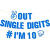 Ushinemi Glitter 10th Birthday Decorations, Peace Out Single Digits I’m 10 Double Digits Birthday Party Supplies for Boys, Blue Happy 10th Birthday Banner