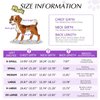 Dog Life Jacket Swimming Vest Lightweight High Reflective Pet Lifesaver with Lift Handle, Leash Ring Purple,XS