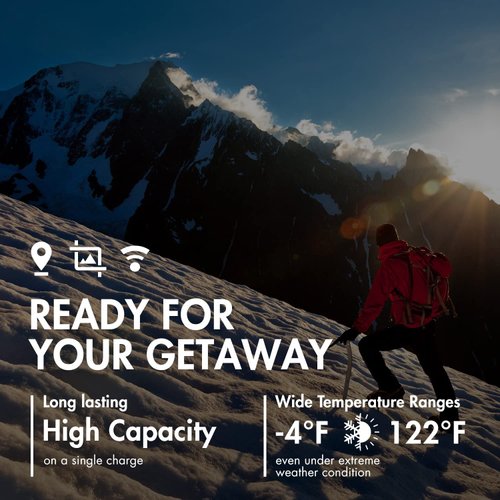 Tenergy T9688 Super Universal LCD Battery Charger with 8 pieces of Premium NiMH Tenergy D Size Rechargeable Batteries - UL Certified