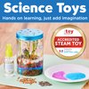 Creativity for Kids Grow 'N Glow Terrarium Kit for Kids - Educational Science Kits Ages 6-8+, Kids Gifts for Boys and Girls, Craft and STEM Projects