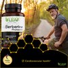 B’Leaf Nature's Berberine Phytosome Vegetarian Capsules - Superior Absorption, Natural Herbal Supplement for Better Health - Gluten-Free, Non-GMO - 120 Capsules, 1100mg per Serving