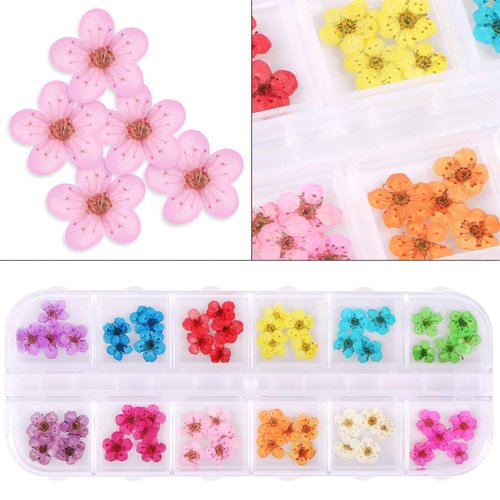 1 Box Dried Flowers for Nail Art, KISSBUTY 12 Colors Dry Flowers Mini Real Natural Flowers Nail Art Supplies 3D Applique Nail Decoration Sticker for Tips Manicure Decor (Daffodils Flowers)