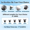 KevKev DIY Lash Extension Kit Lash Clusters Kit 84 Pcs Cluster Lashes with Lash Bond and Seal Lash Glue Remover Overnighter Seal and Applicator for DIY Eyelash Extension(Cirrus Kit,D-8-16mix)