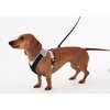 Doggles V Mesh Dog Harness, Gray/Black, XX Small