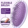 Daily Gard 2 Pack Detangler Hair Brush and Mini Hair Brush, Dry and Wet Hair Brush for Women Men Girls, Detangling Hairbrush for Wet/Dry/Curly/Thick/Long/Wavy/Damaged Hair, Purple