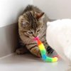 IUHKBH Interactive Cat Balls, 5 Packs Cat Bouncy Balls with Rainbow Worm Cat Chaser Toy Cat Exrecise Toy Balls, Hour of Entertainment, Safe for Your Kitty