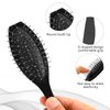 Portable Stainless Steel Wig Brush with Wire Cushion - 2 Pack Professional Synthetic Hair Brush and Hair Extension Combs for Women (Black)