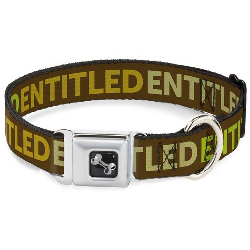 Dog Collar Seatbelt Buckle Entitled Tonal Greens 9 to 15 Inches 1.0 Inch Wide