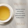 Rishi Tea Valerian Dream Herbal Tea | USDA Organic Direct Trade Sachet Tea Bags, Certified Kosher, Sleep Friendly, Caffeine Free Calming Botanical Blend with Valerian Root | 15 Count (Pack of 1)
