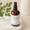 Evolve Organic Beauty - Natural Daily Detox Facial Wash | Small-Batch, Vegan Clean Beauty (Full Size, 3.4 fl oz | 100 ml)