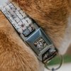 Buckle-Down Seatbelt Buckle Dog Collar - Belle Sketch Poses/Story Script - 1" Wide - Fits 9-15" Neck - Small