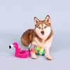 Fringe Studio Plush Dog Toy Set, Pool Days Sun Rays, 2 Piece Set, Pet Shop Collection (312042)