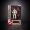 Ghostbusters Plasma Series Ray Stantz Toy 6-Inch-Scale Collectible Classic 1984 Action Figure, Toys for Kids Ages 4 and Up