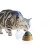 Cat Nip Ball Cat Toy with Cover, Qty 1, Self-Adhesive Catnip Balls Cute Cat Toys for All Cat Breads