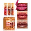 JIMYAUQIN Lip Plump Duck Invasion Lip Gloss Set, 3 Pieces, 0.16 fl oz Each (Set B, 3pcs/Set)