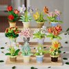 ALITTDRE Flowers Building Blocks Sets, Office Home Decor Bonsai, Micro Flower Toys Building Set, Gifts for Mothers, Valentines, Birthdays, Adult & Kid (Chlorophytum comosum)
