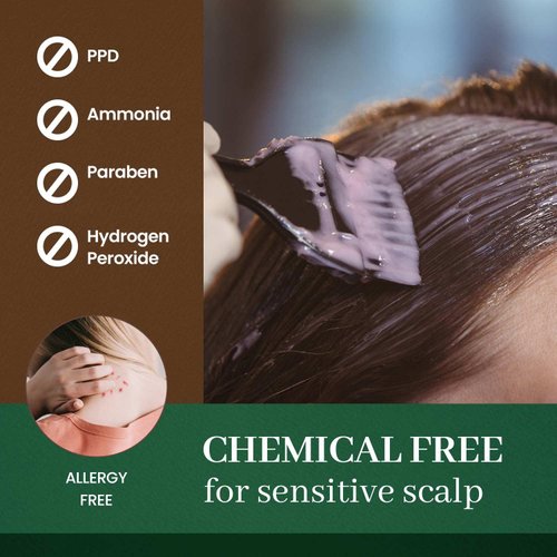 DONGSUNG Herb Speedy Color Cream PPD Free (Natural Black, 1 pack) Korean Herbal Ammonia Free Vegan Hair Dye Sun Protection Odorless No more Eye and Scalp Irritations From Coloring For Sensitive Scalp