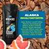 Axe Shower Gel 400Ml Alaska
