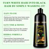 ALIVER Hair Dye Shampoo (Black) - 3-in-1 Natural Herbal Essence: Coloring, Nourishing, and Hair Growth Promoter - 500ml, Hypoallergenic and Harmless for Scalp Care