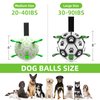 QDAN Glow in The Dark Dog Toys Soccer Ball with Straps, Outdoor Interactive Dog Toys Puppy Birthday Gifts, Dog Tug Water Toy, Light Up Dog Balls for Small & Medium Dogs（8 Inch）