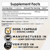 Nootropics Depot Lions Mane Mushroom Capsules | 500mg | 60 Count | Hericium erinaceus | Whole Fruiting Body Mushroom Extract | Brain Health Supplement | Neuroprotective + Boosts Mood