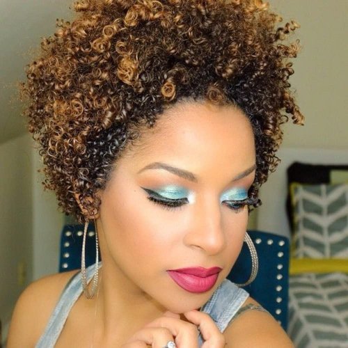 Ms Taj Short Afro Kinky Curly Human Hair Wigs for Black Women Brazilian Virgin Short Curly Afro Wigs None Lace 150% Density Unprocessed Afro Wig Human Hair Curly Machine Made (DX 4/33/30)