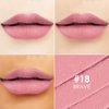 FOCALLURE Ultra Chic Matte Lipstick,Rich Vitamin E Lip Crayon,Lightweight Matte Color without Drying or Fading,Long Lasting Waterproof Lips Makeup,BRAVE