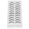 DSLONG 10 Pairs Cat Eye Lashes Clear Band Wispy Natural Look Fluffy False Eyelashes 3D Soft Volume Lashes Looks Like Eyelash Extensions Reusable Faux Mink Lashes (C02)