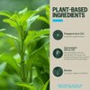 PurO3 Ozone Teeth and Gum Support, Ozonated Olive Oil for Complete Oral Care, Essential Oil for Advanced Dental Health and Fresh Breath (Peppermint/Stevia)
