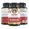 Ancient Bliss Berberine HCL 1200mg with Ceylon Cinnamon, Bitter Melon, and Green Tea Extract - 120 Capsules Supports Glucose Metabolism, Immune System