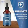 Ionic Zinc Liquid Drops - High Potency Immune Booster Zinc Supplement, Immune Defense, Powerful Natural Antioxidant, Non-GMO - by New Age (Liquid 2 OZ), Pack of 1