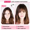 Adancyler Bangs Hair Clip in Bangs 100% Real Human Hair Extensions Natural Black Wispy Bangs Clip on Air Bangs for Women Fringe with Temples Hairpieces Curved Bangs for Daily Wear