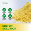 Healov Sulfur Face Mask – All Natural Sulfur Facial Clay Mask – Glowing Skin Mask For Acne, Spots, Oily Skin – Sulfur Acne Mask Absorbs Excess Oil and Unclogs Pores – Sulfur Mask Skincare