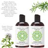 Laritelle Organic Travel Size Shampoo 2 oz + Travel Size Conditioner 2 oz | Organic Quinoa + Keratin + Follicle Stimulating Rosemary, Ginger & Grapefruit | NO GMO. Vegan