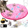 Mity Rain Cat Interactive Toys for Indoor Cats, Self Rolling Ball Cat Ball Toy in Play Mat Pouch, Remote Control Smart Automatic Cat Ball with Music Kitten Adult Cat Hide and Seek Hunting Boredom Toys