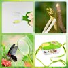 3 Sets Bug Catcher Kit for Kids Outdoor Exploration Kit Kid Summer Toys Nature Explorer Kit Bug Collection Kit with Insect Catcher Box, Butterfly Nets, Tweezers for Kids 3 4 5 6 7 8+ Years Old