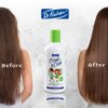 Dr. Fischer 2 in 1 Shampoo and Conditioner for Kids, Toddlers and Babies. Tear Free and Detangle Formula.