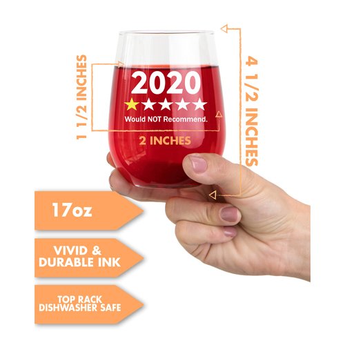 Funny Wine Glass Gift- 17 Oz Stemless Wine Glass (1 PC - 2020 One Star)