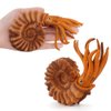 RCOMG 11PCS Prehistoric Sea Creatures Toys, Ancient Cambrian Ocean Animal Figurines Plastic Educational Marine Animal Figures for Cake Topper, School Project, Learning Toy