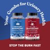 Urinary Tract Supplement Duo, Urinary Harmony + Killer Cranberry, UT Defense blends, D-mannose & Hibiscus + Cranberry, Pine Bark, Propolis & Vitamin D, Clinical Strength Ingredients, 2 X 60 ct