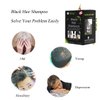 Instant Hair Dye Hair Color Shampoo Semi-Permanent Hair Shampoo - 10-Bag/Box (black)