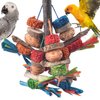 Bissap Bird Chew Toys, Natural Bark Corncob Nuts Parrot Toys and Treats for Conure Cockatoo Parakeet Budgies Cockatiel Lovebirds Pets Cage Bite Toy