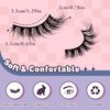 Eyelashes Fluffy Cat Eye Lashes Wispy 8D Volume False Eyelashes Comfortable & Lightweight Lashes Strips Makeup Fake Eyelashes Soft Curly Fake Lashes 7 Pairs Pack by MOMOLASH